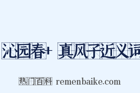 沁园春+真风子近义词是什么意思的图片